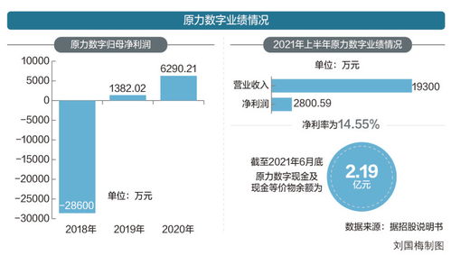 靠3D數字人業務能否翻身？原力數字沖刺創業板的機遇與挑戰